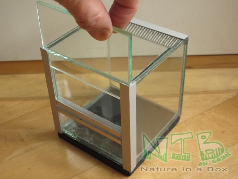 Convert a glass aquarium to a European style terrarium Dendroboard